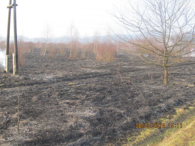 Požár trávy u Kfel, 8. 3. 2014