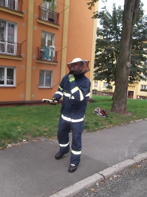 19. 9. 2014 - Včely, Lidická ul.