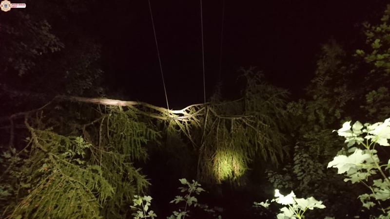 13. 8. 2017 - Odstranění padlého stromu na dráty vysokého napětí, Ostrov-Horní Žďár