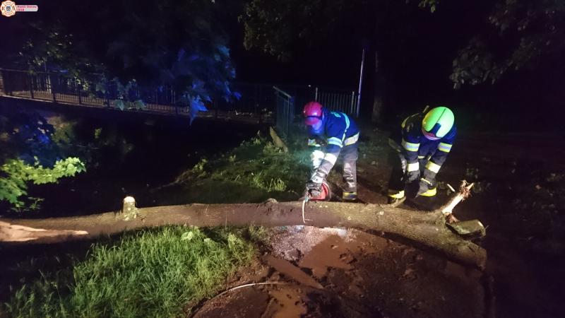 23. 5. 2018 - Odstranění padlého stromu, ul. Školní