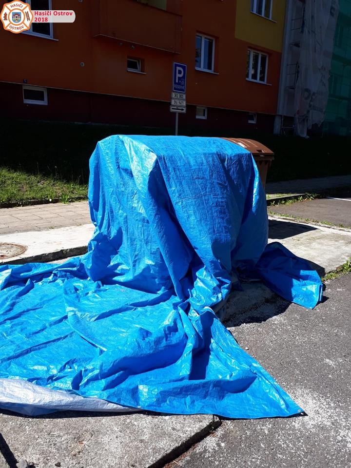 3. 7. 2018 - Likvidace obtížného hmyzu v kontejneru na odpad, Lidická ul.