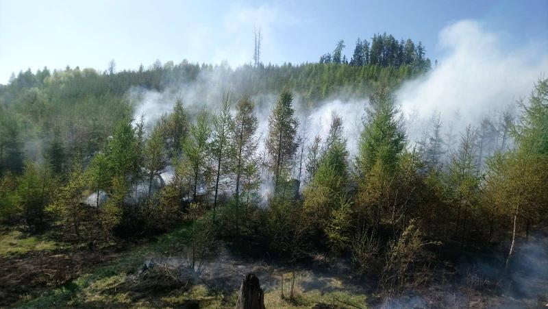 22. 4. 2019 - Požár lesa mezi Šemnicí a Andělskou Horou